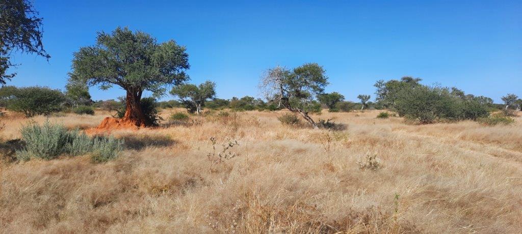 excellent cattle farm in prime area ref: pk18-2021